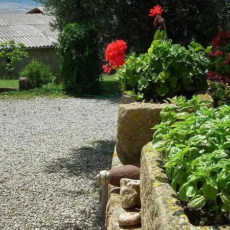 Agriturismo Riposati Monticchiello Room photo