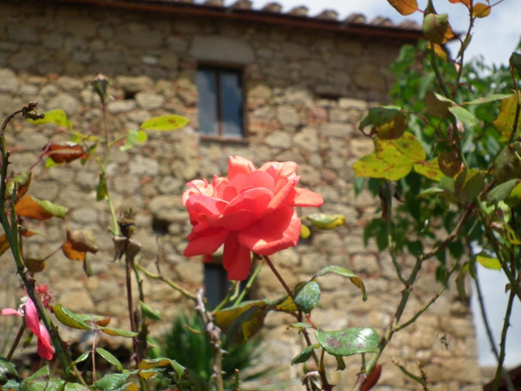 Agriturismo Riposati Country house *
